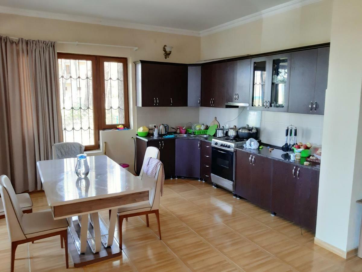 Hotel Niko Shekhvetili Εξωτερικό φωτογραφία