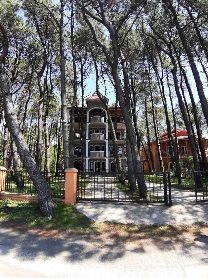Hotel Niko Shekhvetili Εξωτερικό φωτογραφία