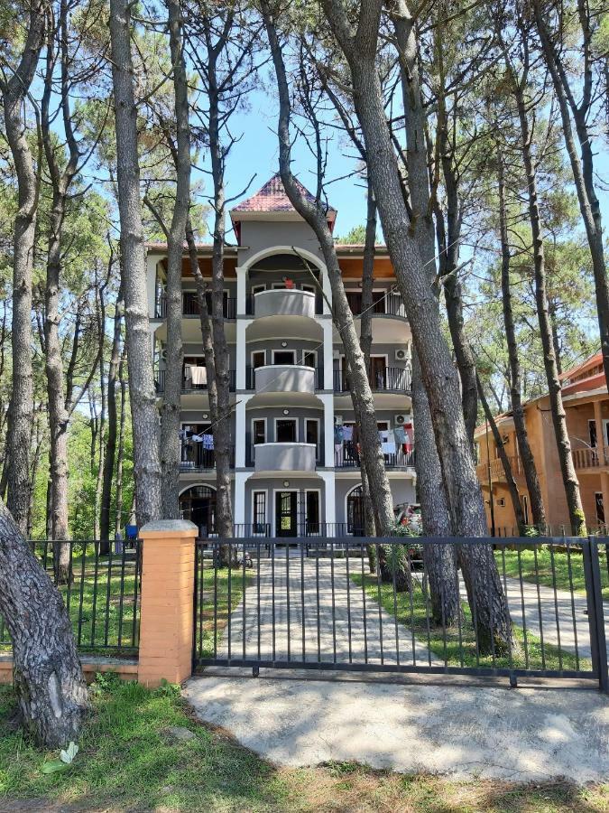 Hotel Niko Shekhvetili Εξωτερικό φωτογραφία