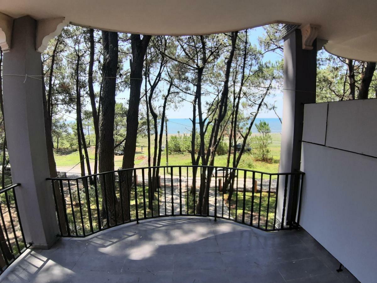 Hotel Niko Shekhvetili Εξωτερικό φωτογραφία