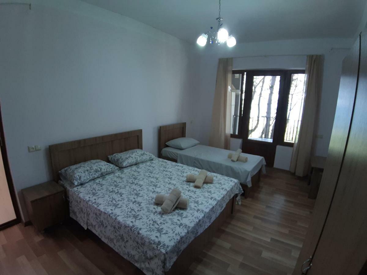 Hotel Niko Shekhvetili Εξωτερικό φωτογραφία